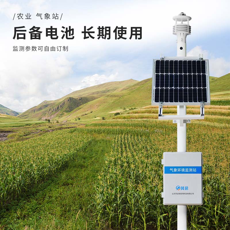 氣象影響藍莓的花芽分化 氣象影響藍莓的花芽分化