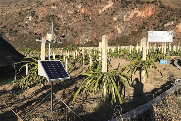 農業氣象站 農業氣象站