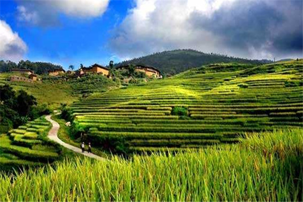 農業氣象站 農業氣象站