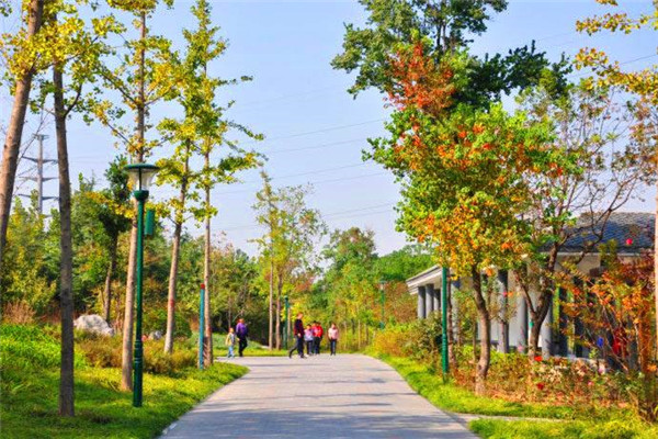 景區氣象站.jpg 景區氣象站.jpg