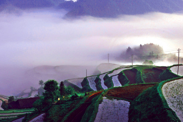 自動氣象站 自動氣象站