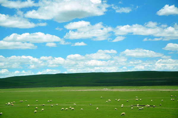 光伏太陽能環境監測系統