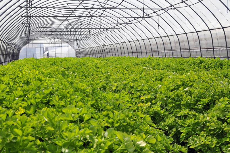 氣象五參數監測儀 氣象五參數監測儀