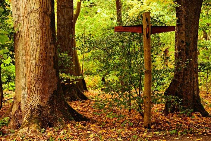 負氧離子對人體的益處 負氧離子對人體的益處